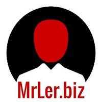 MrLer.biz chat bot