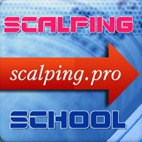 Scalping School chat bot